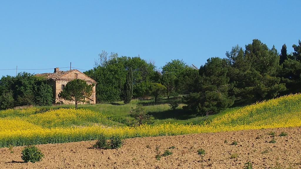 Cottage house Montegranaro Exterior foto